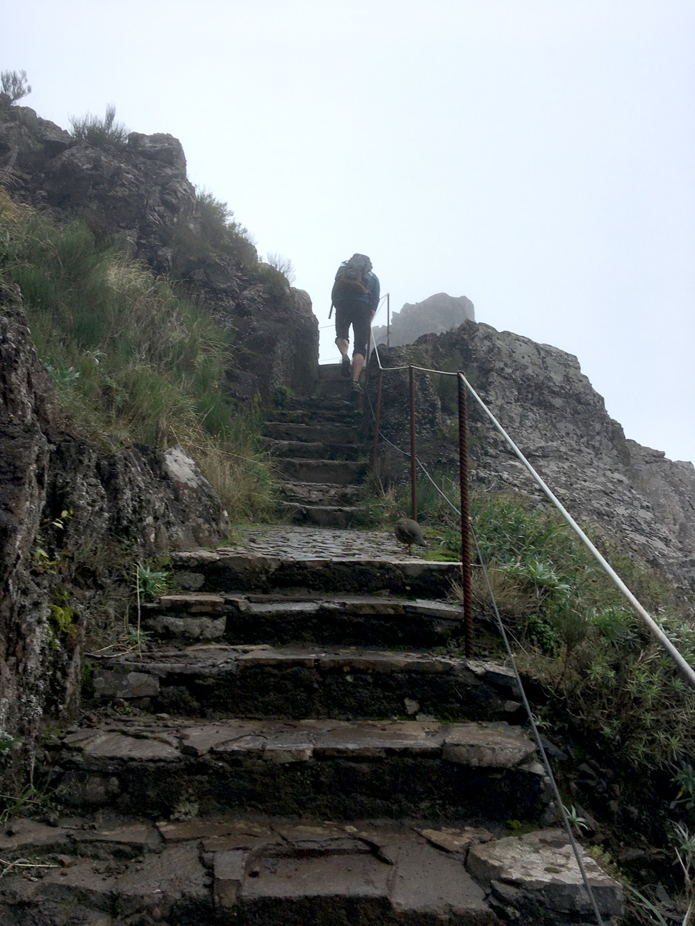 Treppenaufstieg am Berg